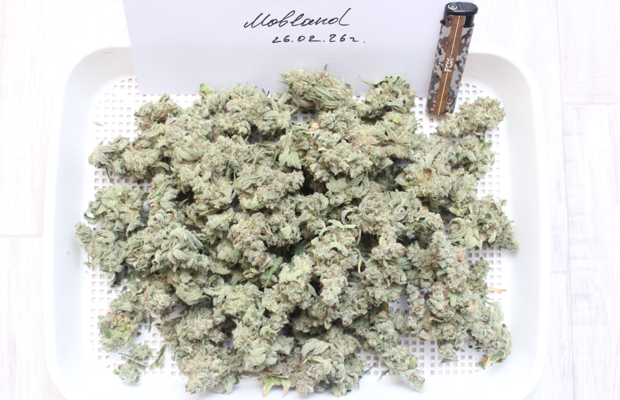 2 — копия.PNG