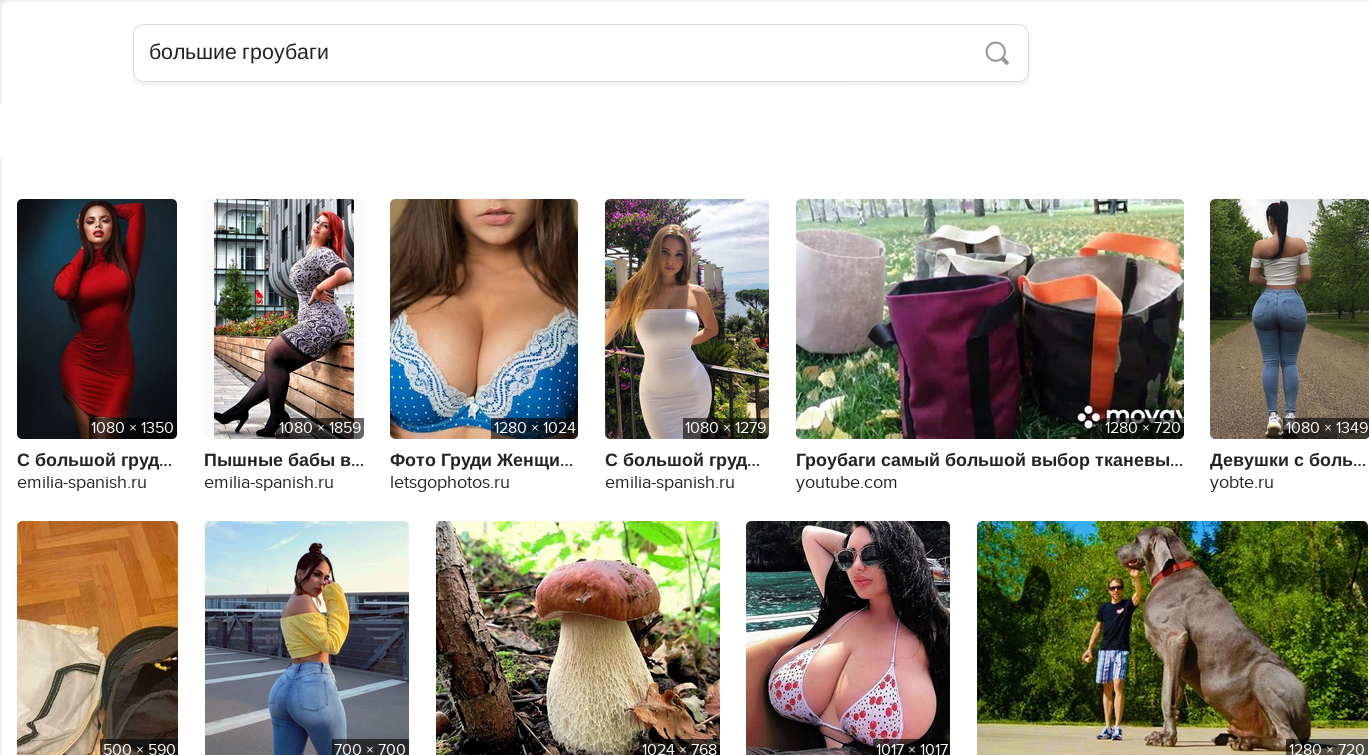 большие гроубаги.png