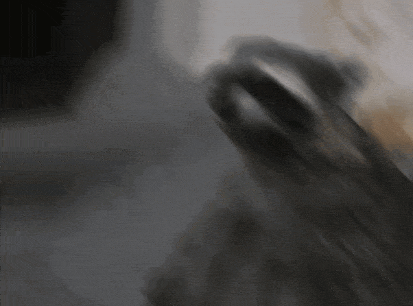 copy_07CB54D9-A5BB-4783-AAD3-2ADAAC7CF54C 2-min.gif