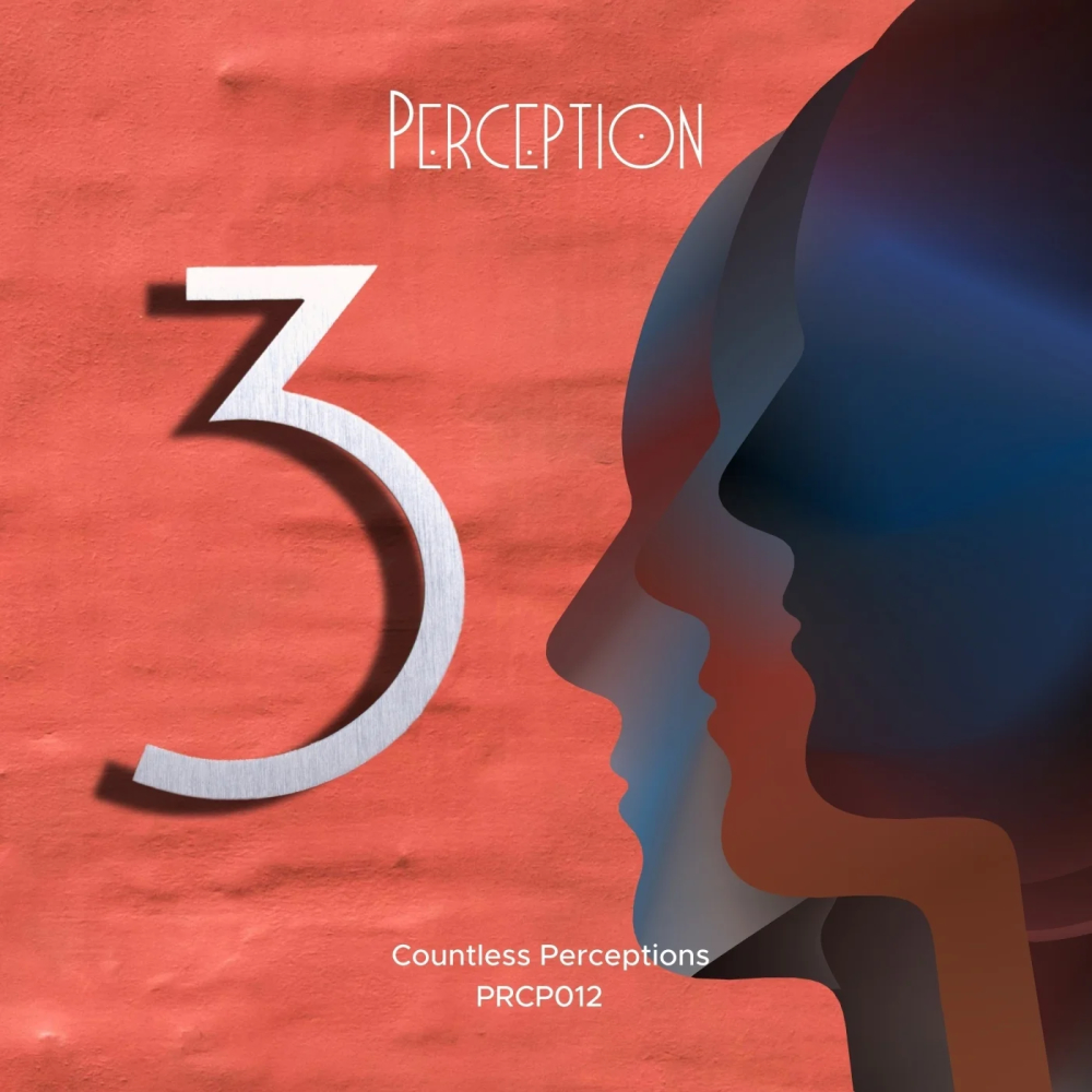 Countless Perceptions 3 1000x1000.jpg