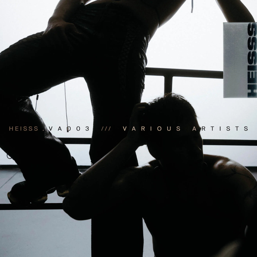 HEISSS VA003 1000x1000.jpg