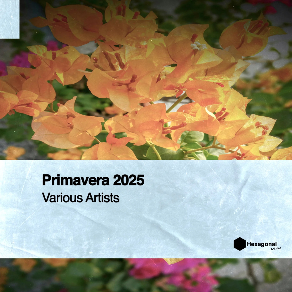 Primavera 2025 1000x1000.jpg