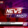 narco_news